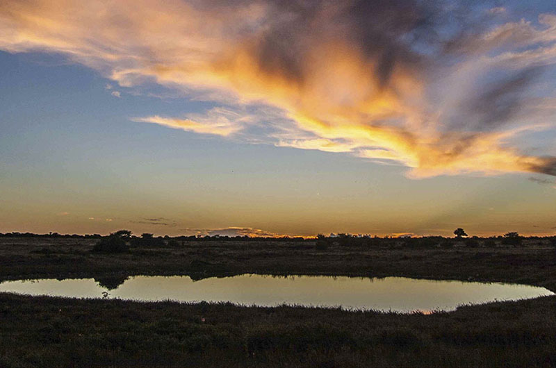 Scenic views of the African bush